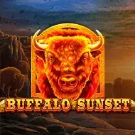 Buffalo Sunset Bild