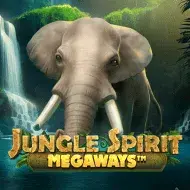 Jungle Spirit Megaways bild