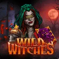 Wild Witches игра