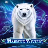 Majestic Winter صورة
