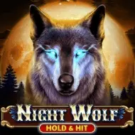 Night Wolf - Hold & Hit игра