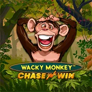 Wacky Monkey - Chase'N'Win изображение