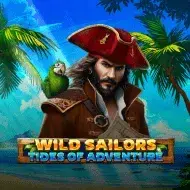 Wild Sailors - Tides Of Adventure игра