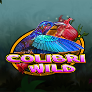 Colibri Wild image