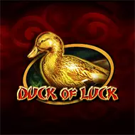 Duck Of Luck صورة